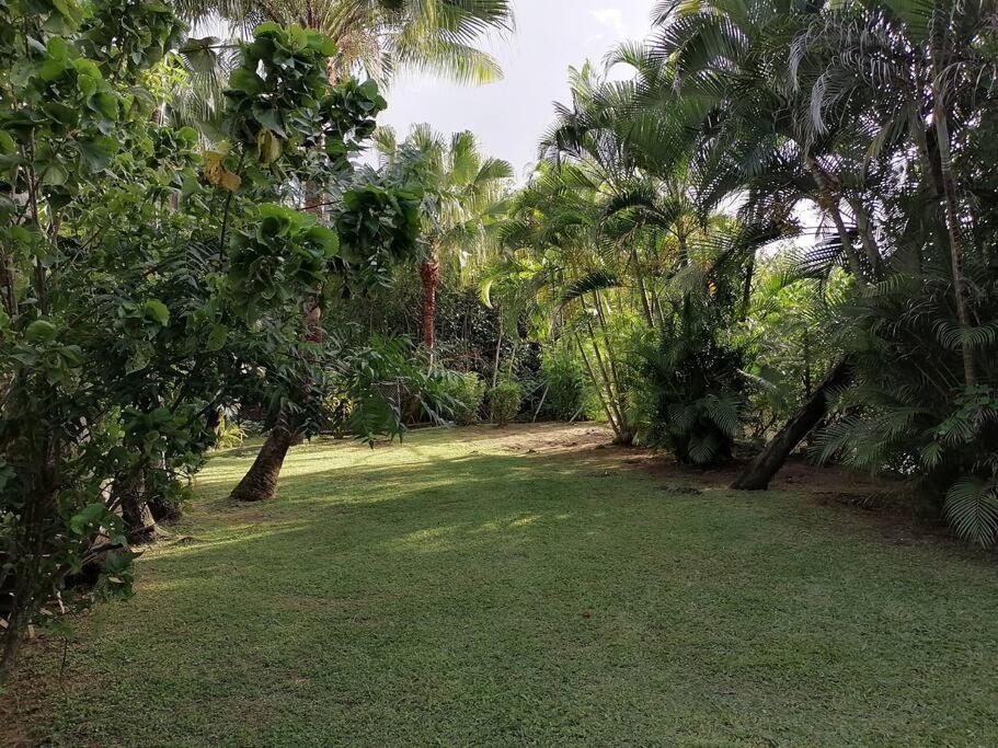 Private Nasoso 4 Bedroom House Nadi Ngoại thất bức ảnh