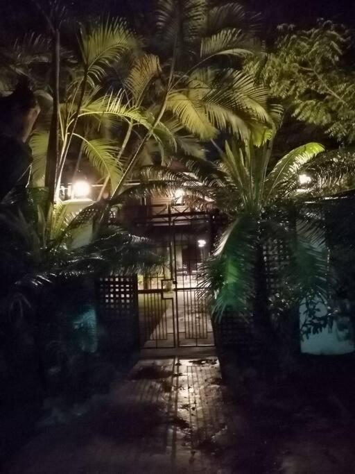 Private Nasoso 4 Bedroom House Nadi Ngoại thất bức ảnh