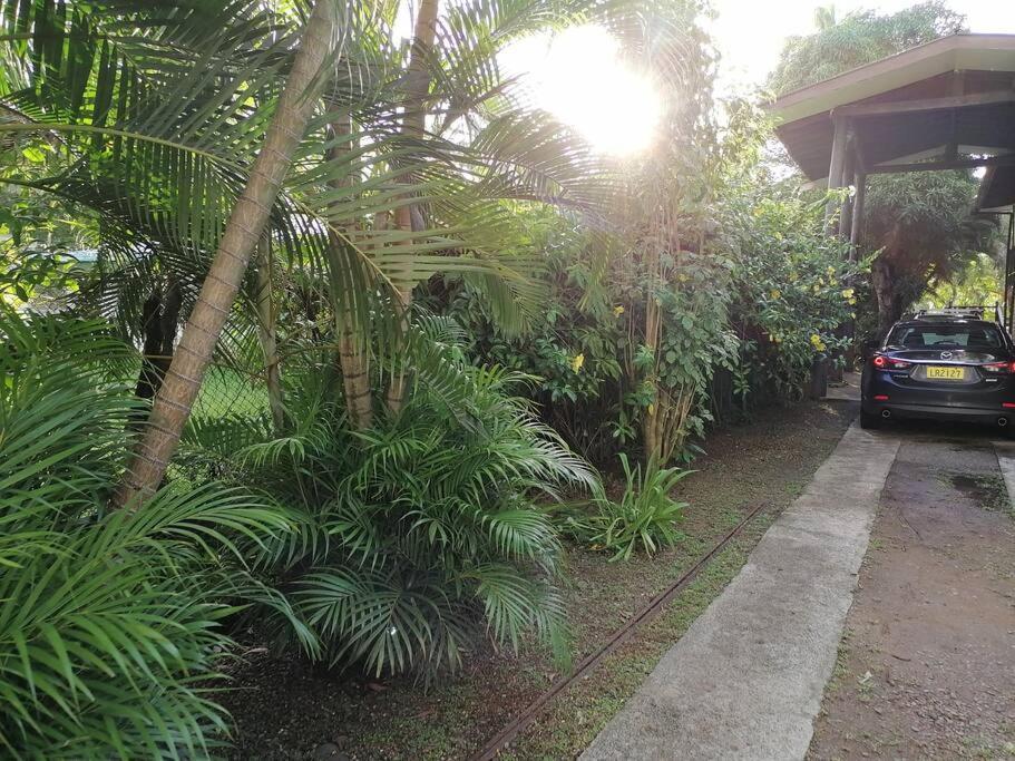 Private Nasoso 4 Bedroom House Nadi Ngoại thất bức ảnh
